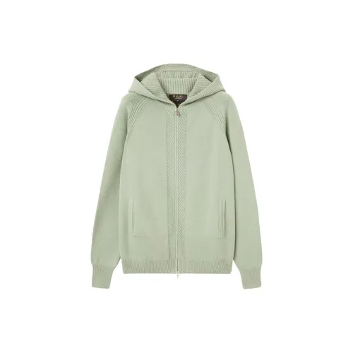 Loro Piana Jackets Women's Mustard Green