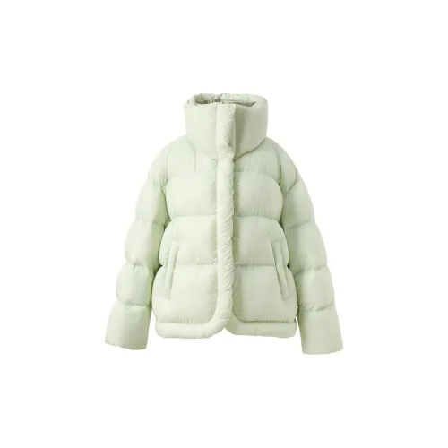 3COLOUR 아보카도 그린 여성 다운 재킷