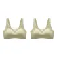 LS-161/Fruit Green+Fruit Green/2 Pack