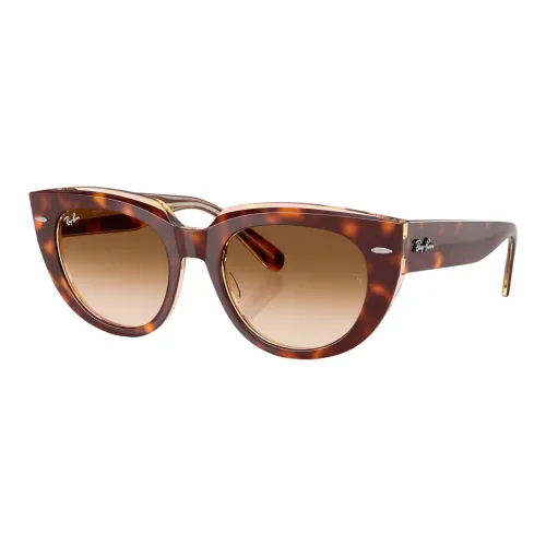 RayBan Propionate Ester Irregular Shape Sunglasses Unisex Black