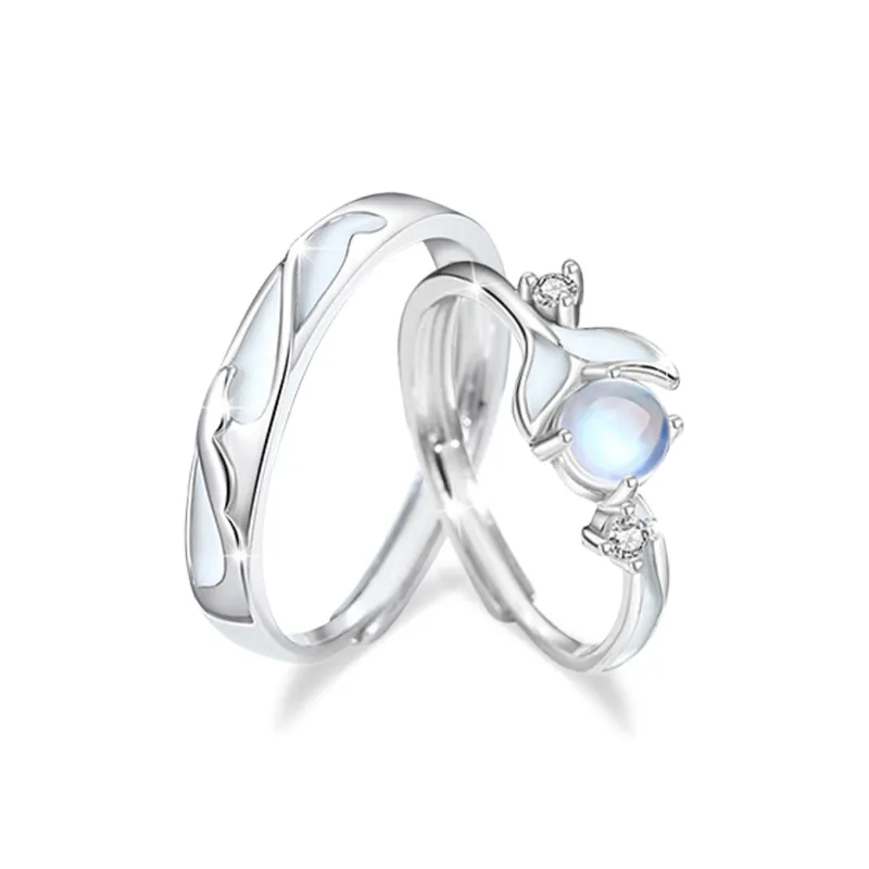 DVNRR S925 Silver Rings Unisex Gift Box Set Anniversary Gift For The Object Of Your Affection-1