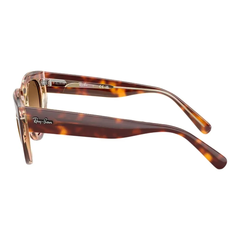 RayBan Doreen Sunglasses-2