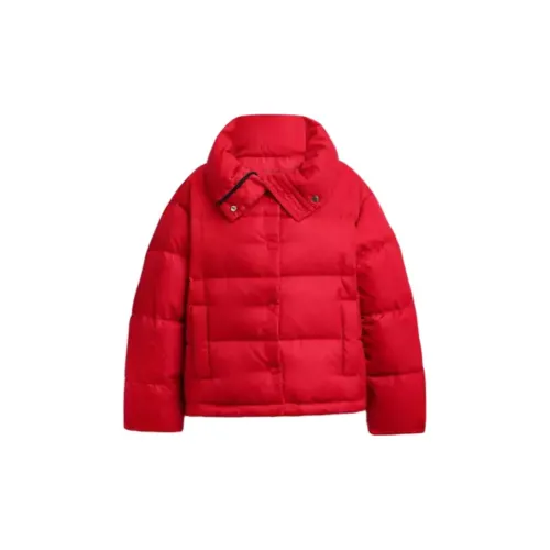 COACH Signature Jacquard Short Puffer In Recycled Polyamide Down Jacket Women's Red