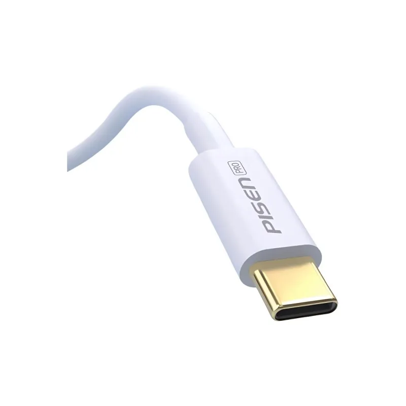 PISEN Cables-2