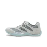Elephant Gray
