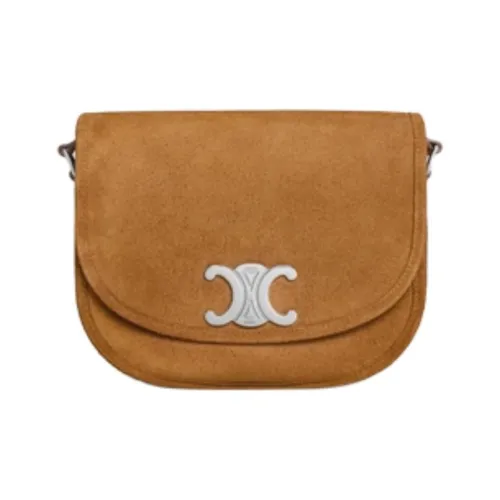 CELINE BesaceTriomphe Calfskin Shoulder Bag Crossbody Bag Medium Size Men's Brown