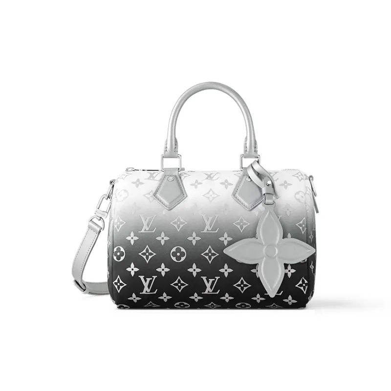LOUIS VUITTON Speedy Bandouliere 25 Frost Gardiant Silver-0