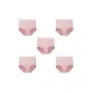 Pink+Pink+Pink+Pink+Pink-5 Pack