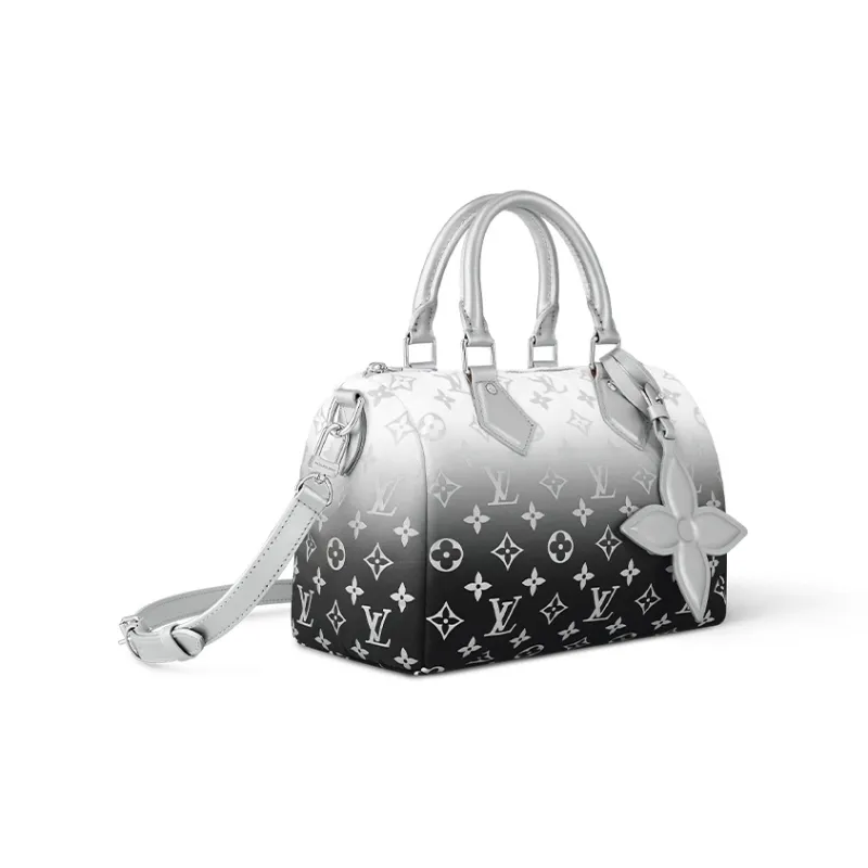 LOUIS VUITTON Speedy Bandouliere 25 Frost Gardiant Silver-1