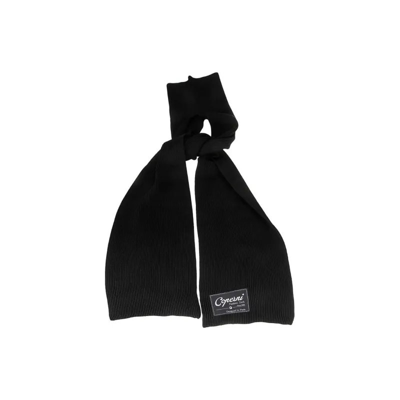 COPERNI Satin Pashmina-1