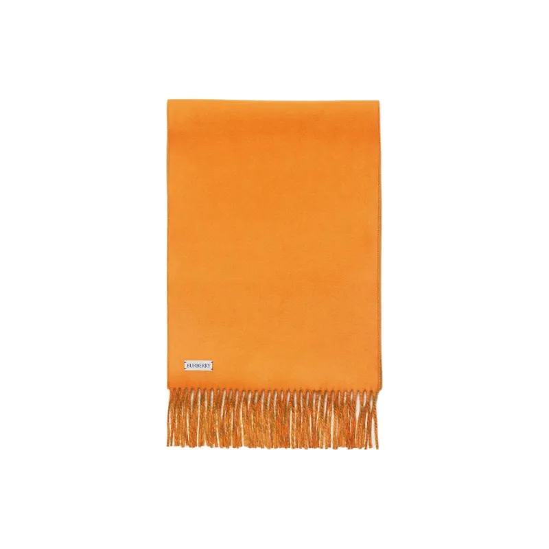 Burberry Reversible Cashmere Scarf-2