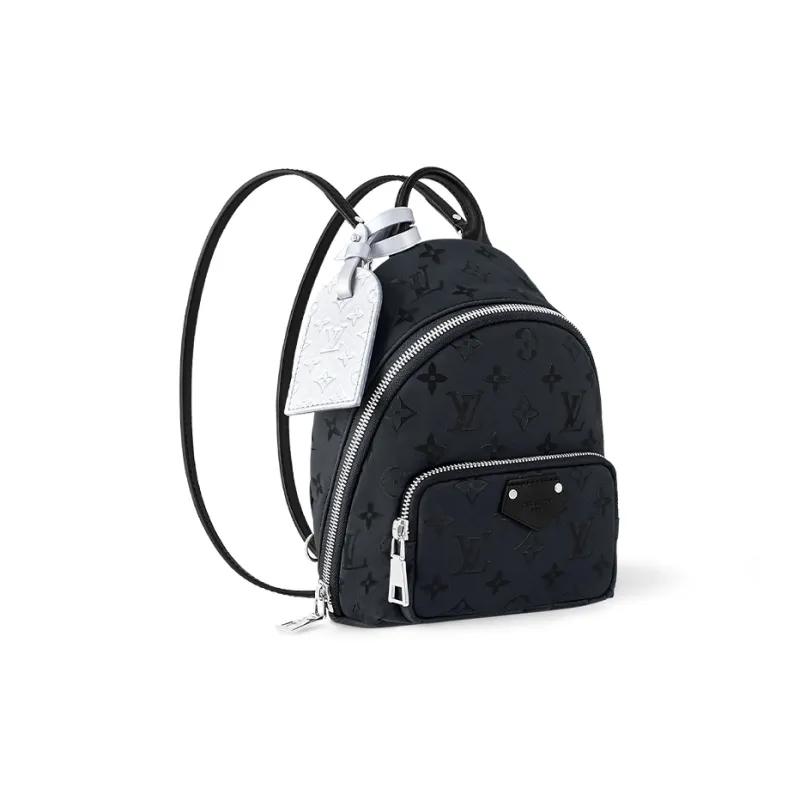 LOUIS VUITTON Palm Spring Mini Polar Night-1