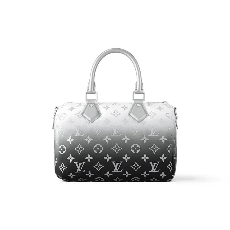 LOUIS VUITTON Speedy Bandouliere 25 Frost Gardiant Silver-2