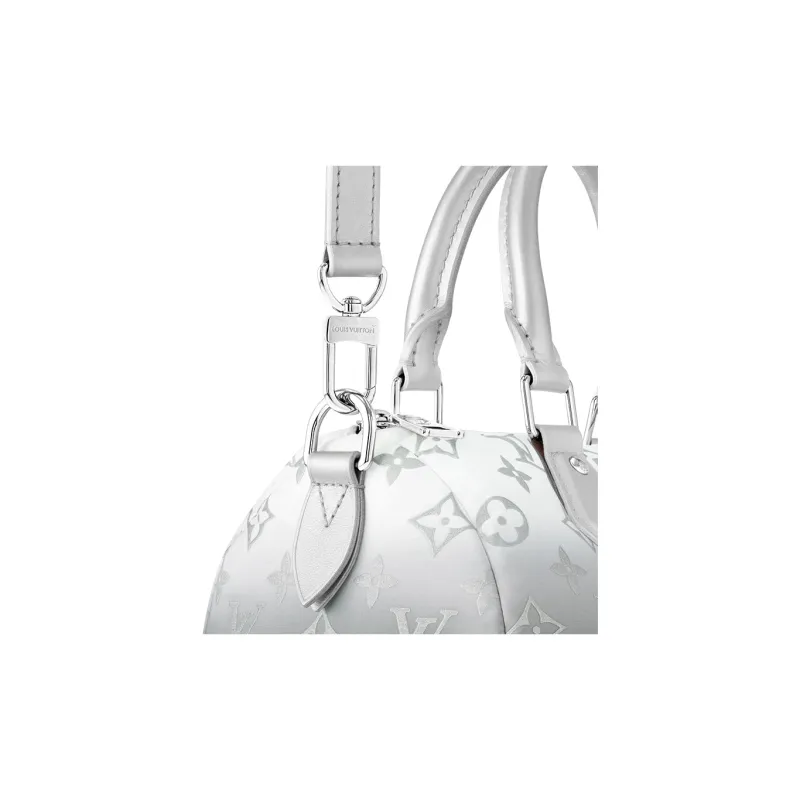 LOUIS VUITTON Speedy Bandouliere 25 Frost Gardiant Silver-4
