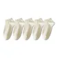 5 Pack (5 Custard)