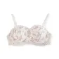 Camellia Pink