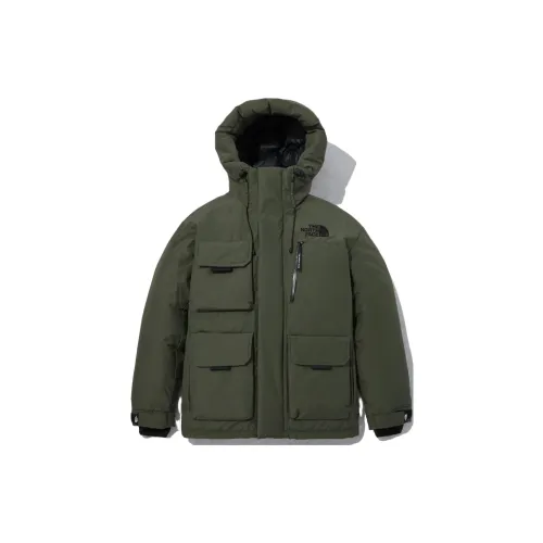 THE NORTH FACE Jackets Men Green