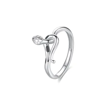 D.Get S925 Silver Rings Unisex Present Box Good Luck