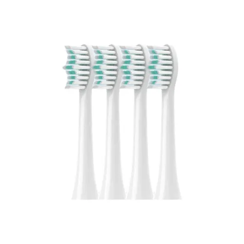Fly Toothbrush Heads