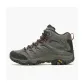Gray Green
