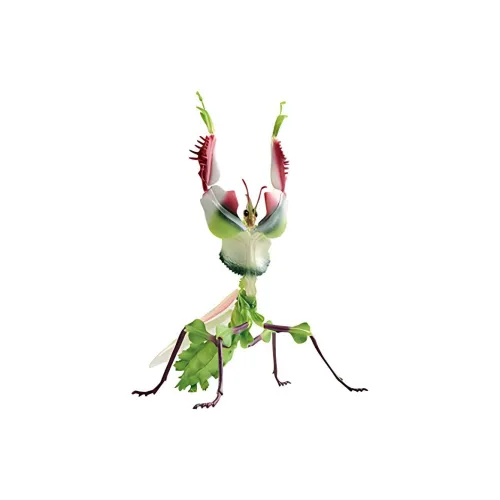 BANPRESTO Glass Factory Ichiban Kuji B Reward Fake Sea Cucumber Praying Mantis 20cm Bonus Gifts