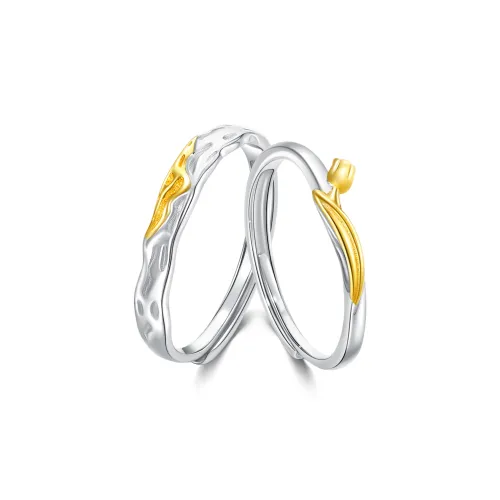 OWNCOOL 925 Sterling Silver Ring A Pair Birthday Box Unisex