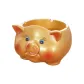 Big Gold Pig