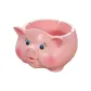 Big Pink Pig