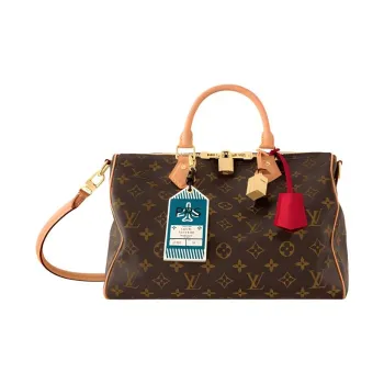 LOUIS VUITTON Speedy Soft 30 Crafty