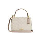 Bag+Dust Bag