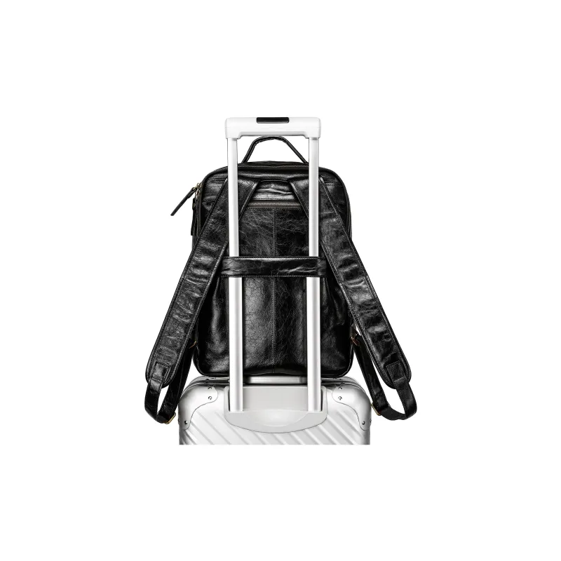Ace Paul Top Grain Cow Leather Backpack Regular Unisex Black/Coffee-6