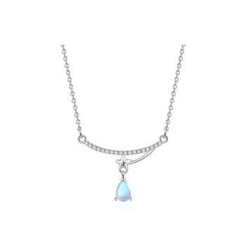 2801 S925 Silver Necklaces Women's