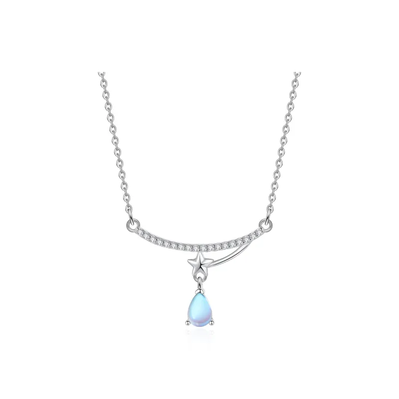 2801 S925 Silver Necklaces Women's-0