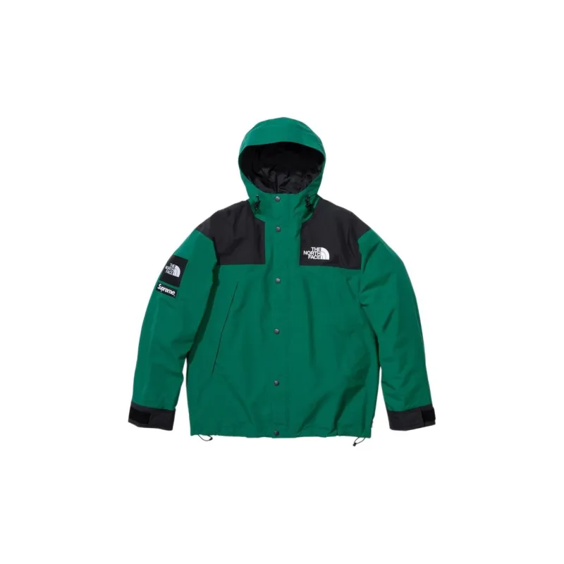 Supreme The North Face Mountain Jacket-4