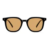 Black Frame with Tea Brown Lens