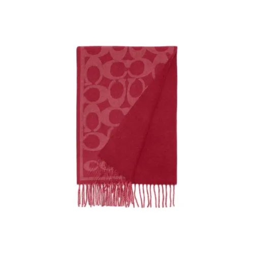 COACH Cashmere Knit Scarves Unisex Plum Joy