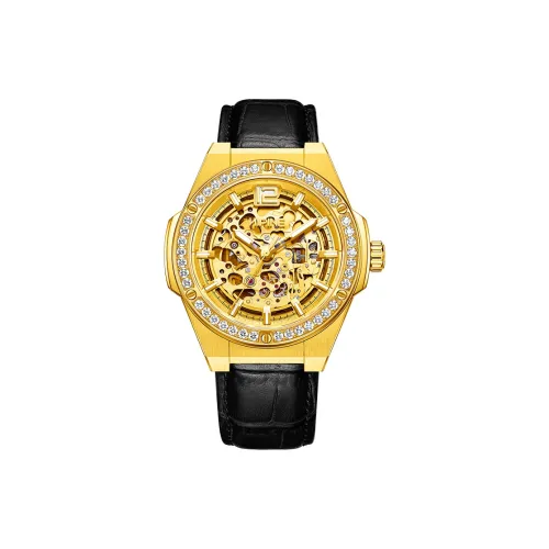 HIPINE 오토매틱 메커니컬 무브먼트 남성 중국 시계 47mm*44mm*13mm 골든