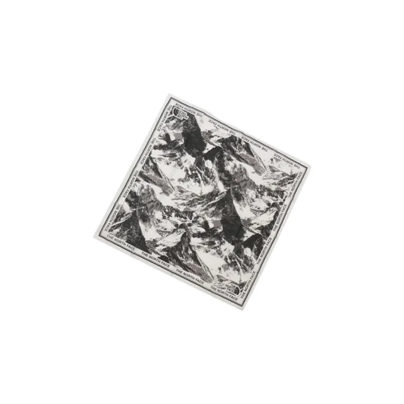 THE NORTH FACE Mountain Graphic Bandana Gray-2