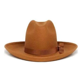 Alanui Curved Wool Cowboy Hat