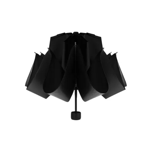 Baudini Umbrellas