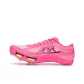 Dragon Fruit Color Scheme