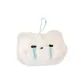 Cute Plush Crying Bear