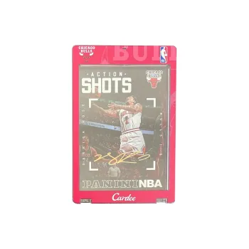 PANINI Sports Cards