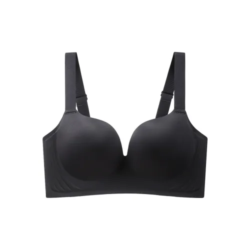 Lanza Women's Bras