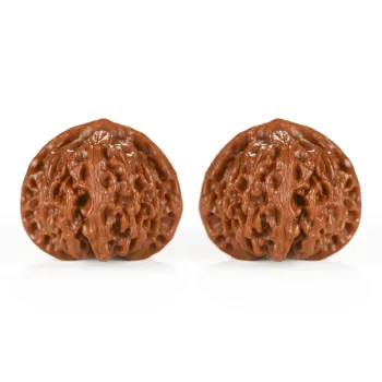 MUSHIFEN Text Plays Walnuts Collectible Unisex