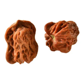 Blooming Petals Peach Pits Collectible Unisex