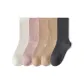 [5 Pack · Maillard Style Color]5 Pack (Note)