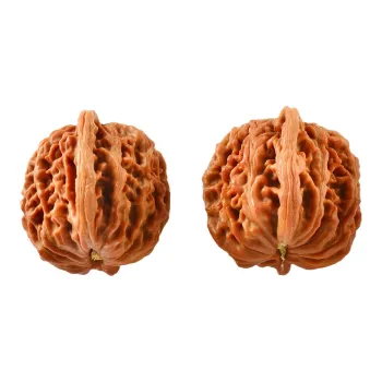Blooming Petals Peach Pits Collectible Unisex