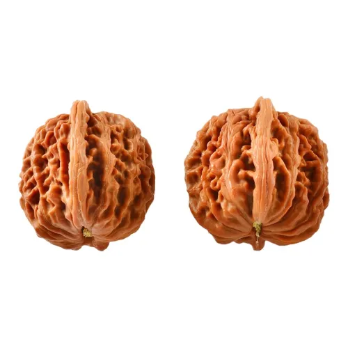 Blooming Petals Peach Pit Collectible Unisex