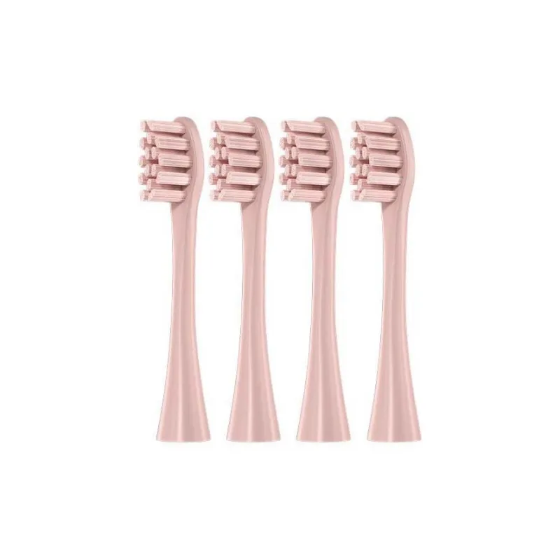Fly Toothbrush Heads-4
